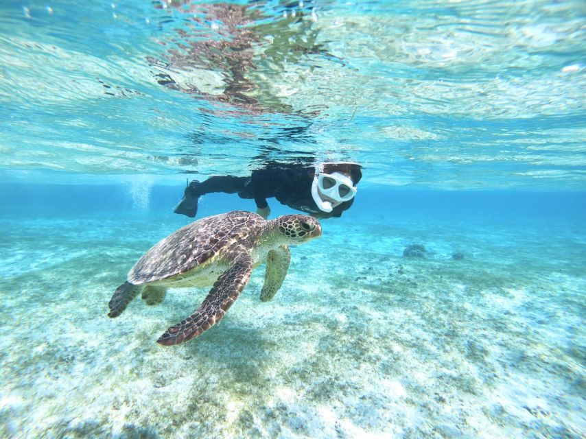 Miyako Island: SUP or Canoeing and Snorkeling Experience - The local lunch stop adds a useful break