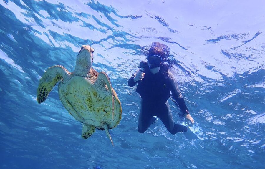 Miyako Island: SUP or Canoeing and Snorkeling Experience - Free photos are more useful than they sound