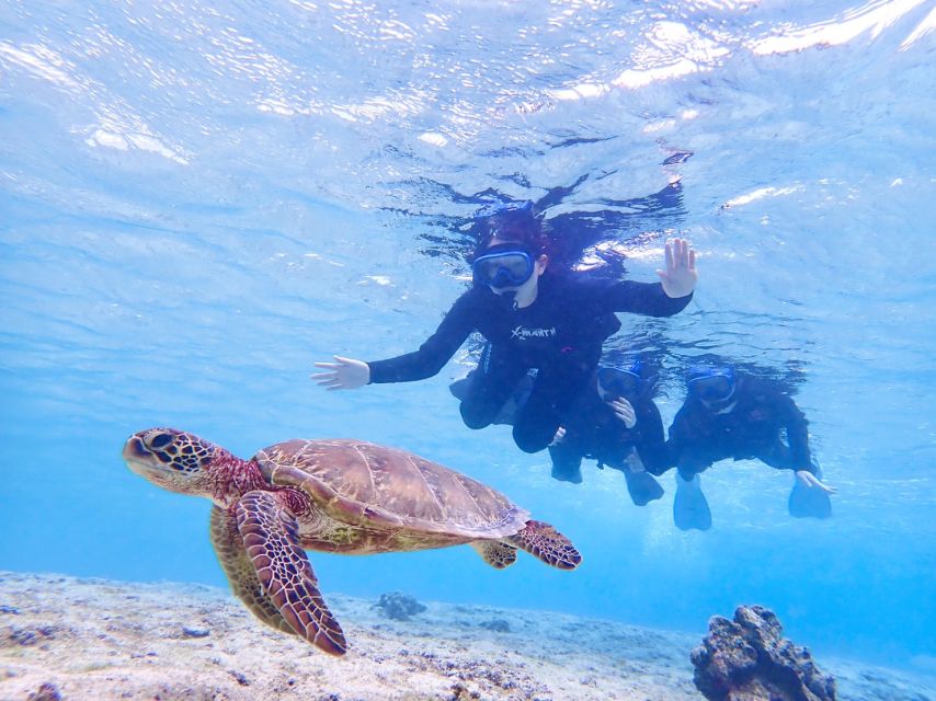 Miyako Island: SUP or Canoeing and Snorkeling Experience - What the $95 price really covers