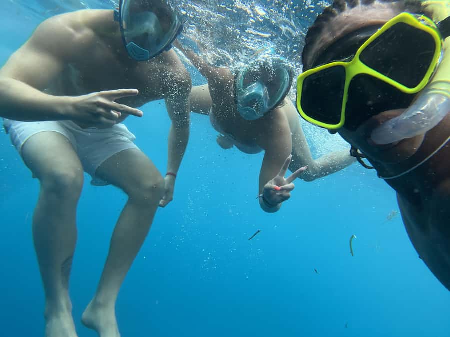 Mnemba dolphin & snorkel: from matemwe, pwani, kwingwa, Uroa - Why Mnemba makes a strong morning outing