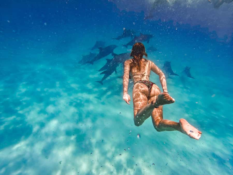Mnemba Island: Dolphin Swim & Snorkeling with Optional Lunch - A half-day on the water near Mnemba