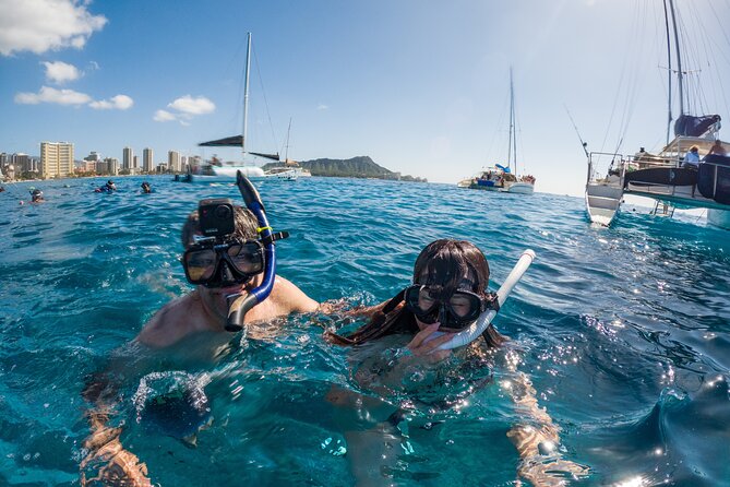 Moana’s Waikīkī Grand Guided Turtle Snorkel & Sailing Adventure - Is the $76.49 price good value?
