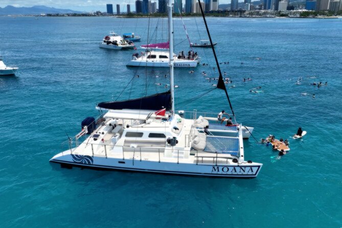 Moana’s Waikīkī Grand Guided Turtle Snorkel & Sailing Adventure - Snorkeling with turtles, fish, and reef life