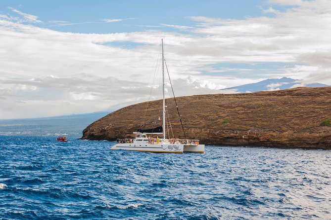 Molokini and Turtle Arches Snorkeling Trip from Ma'alaea Harbor - Lunch and the five-hour rhythm