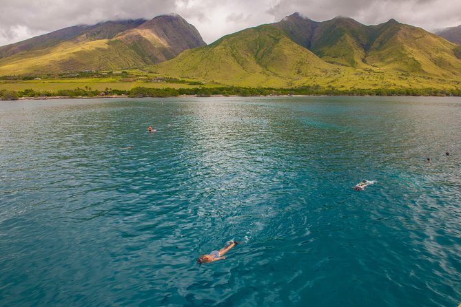 Molokini and Turtle Arches Snorkeling Trip from Ma'alaea Harbor - Molokini Crater and its underwater scenery