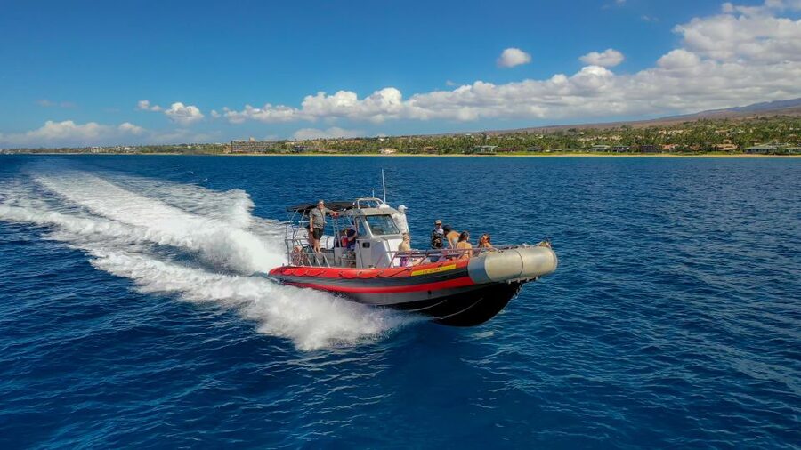 Molokini Crater Snorkel & Whale Watching (Dec 15 – Mar 30) - Why this Molokini trip feels different