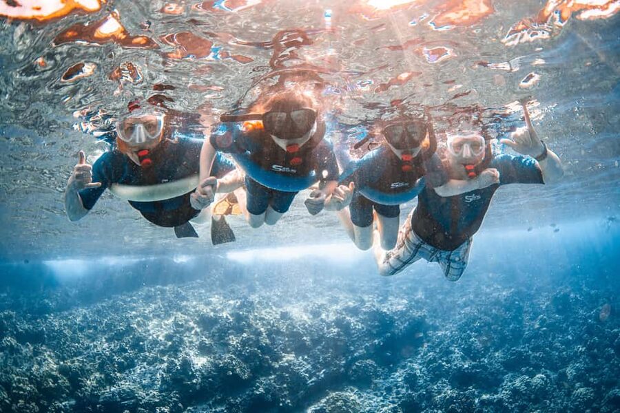 Molokini Crater Snorkel & Whale Watching (Dec 15 – Mar 30) - Who should book this experience
