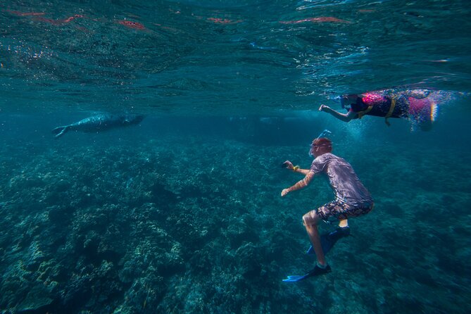 Molokini Snorkel and Performance Sail: Mā’alaea Harbor - Molokini Crater and its clear-water reef