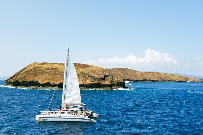 Molokini Snorkel and Performance Sail: Mā’alaea Harbor - Who will enjoy this Molokini trip most