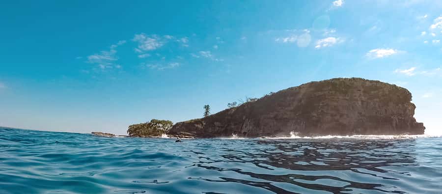 Mooloolaba: Snorkel with Turtles Mudjimba Island - Key points to know before booking