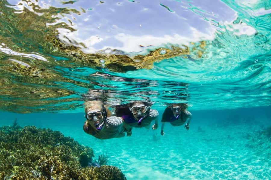 Mooloolaba: Snorkel with Turtles Mudjimba Island - Why Mudjimba Island is worth the short boat trip