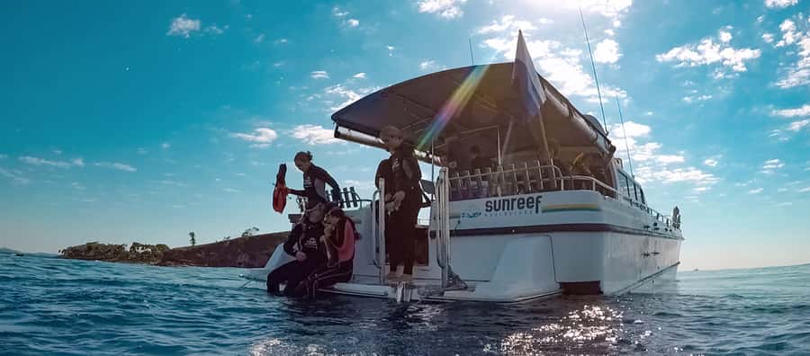 Mooloolaba: Snorkel with Turtles Mudjimba Island - One hour among turtles and reef fish