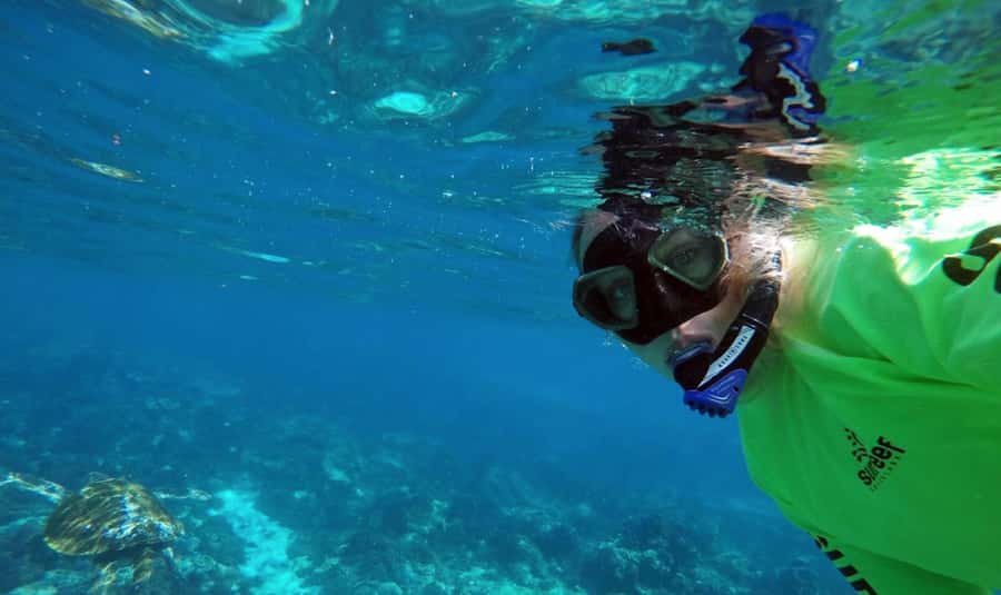 Mooloolaba: Snorkel with Turtles Mudjimba Island - Small touches that make the trip feel personal