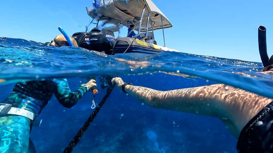 Mooloolaba: Turtle Snorkel & Swim at Mudjimba Island - Why a maximum of eight people matters