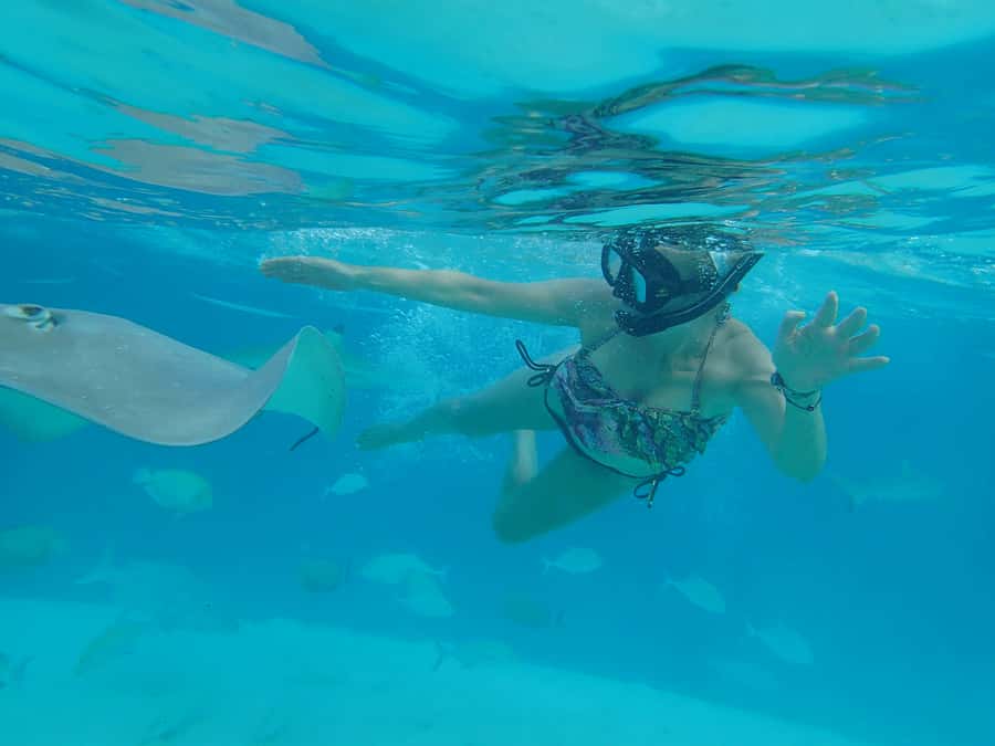 Moorea 4H Shared Boat Tour Whale Swimming and Snorkeling - The boat, food and useful comforts