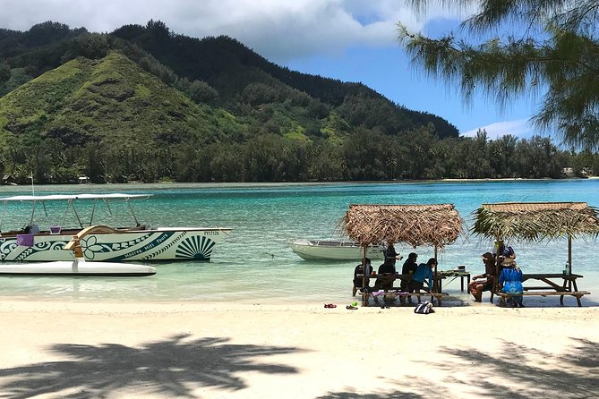 Moorea 6-Hour Snorkeling and Lunch Shared Tour - Meeting rays and black-tip reef sharks
