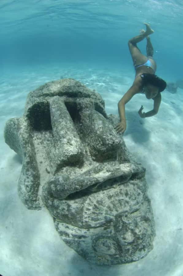Moorea: Glass Bottom Boat Adventure with Lagoon Wonders - FAQ