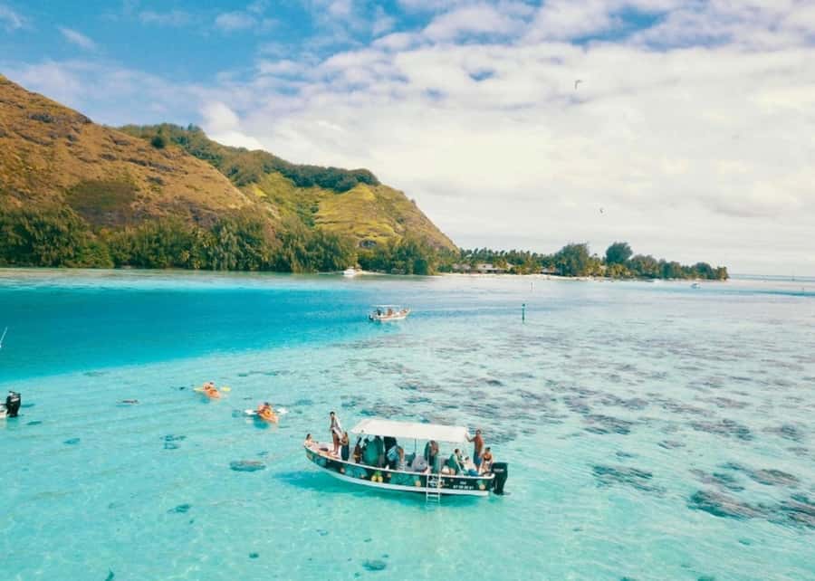 Moorea: Lagoon and Reef Snorkeling Tour with Drinks - Key points to know before you book