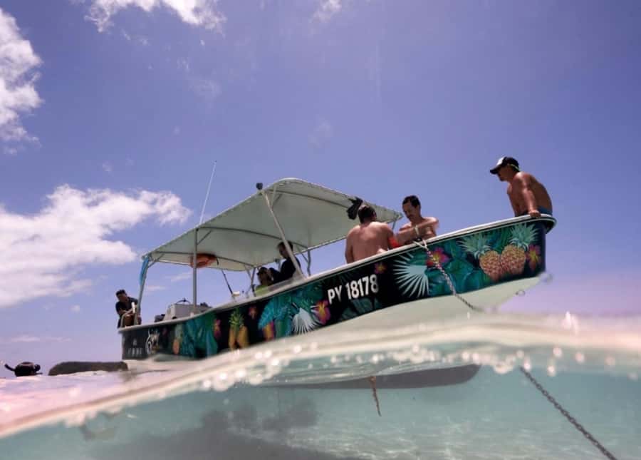 Moorea: Lagoon and Reef Snorkeling Tour with Drinks - A possible dolphin encounter