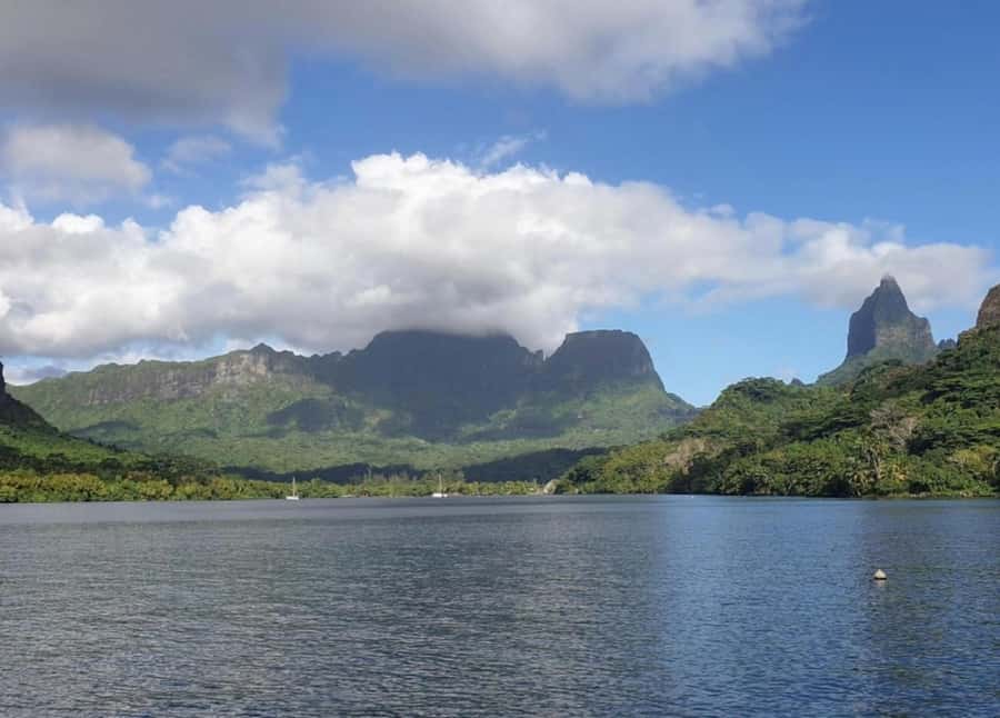 Moorea: Lagoon and Reef Snorkeling Tour with Drinks - What the $118 price really covers
