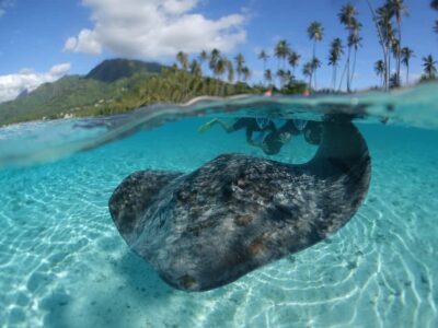 Sea Scooter Snorkeling Tour