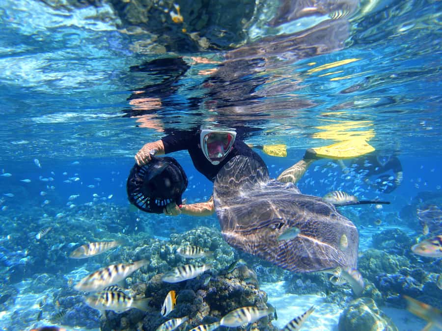 Moorea: Sea Scooter Snorkeling Tour - How this compares with ordinary snorkeling