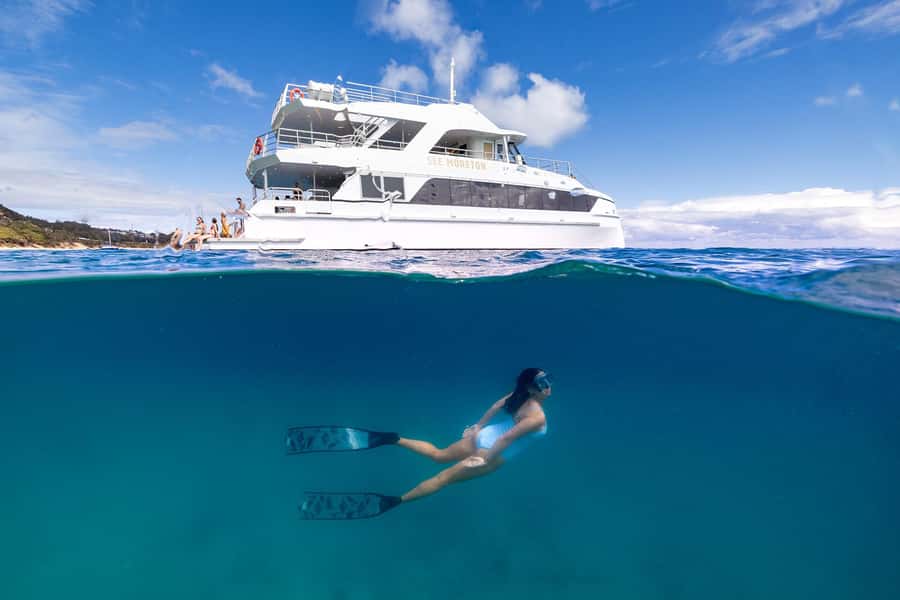 Moreton Island: Dolphin & Tangalooma Wrecks Snorkel Cruise - What makes this Moreton Island trip worth considering
