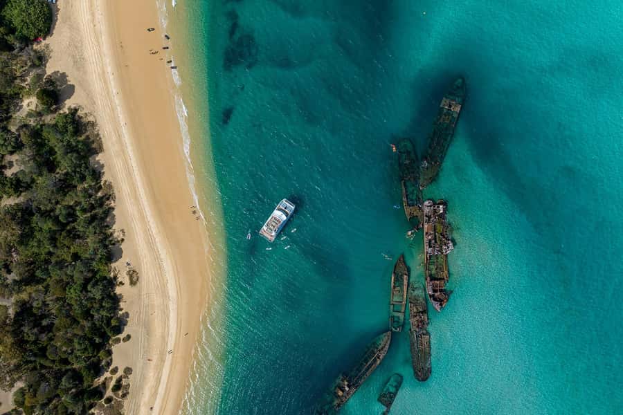 Moreton Island: Dolphin & Tangalooma Wrecks Snorkel Cruise - How the activity schedule works