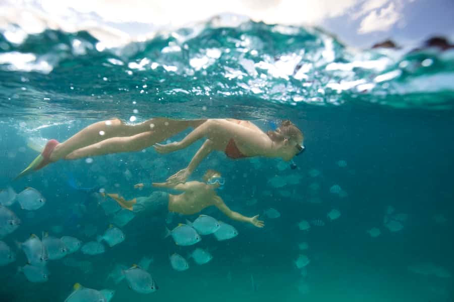 Moreton Island: Tangalooma Day Trip with Snorkeling Tour - The 75-minute boat ride from Brisbane