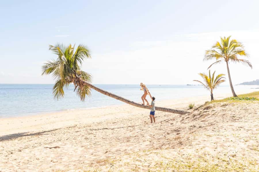 Moreton Island: Tangalooma Day Trip with Snorkeling Tour - Who should book this Moreton Island day trip