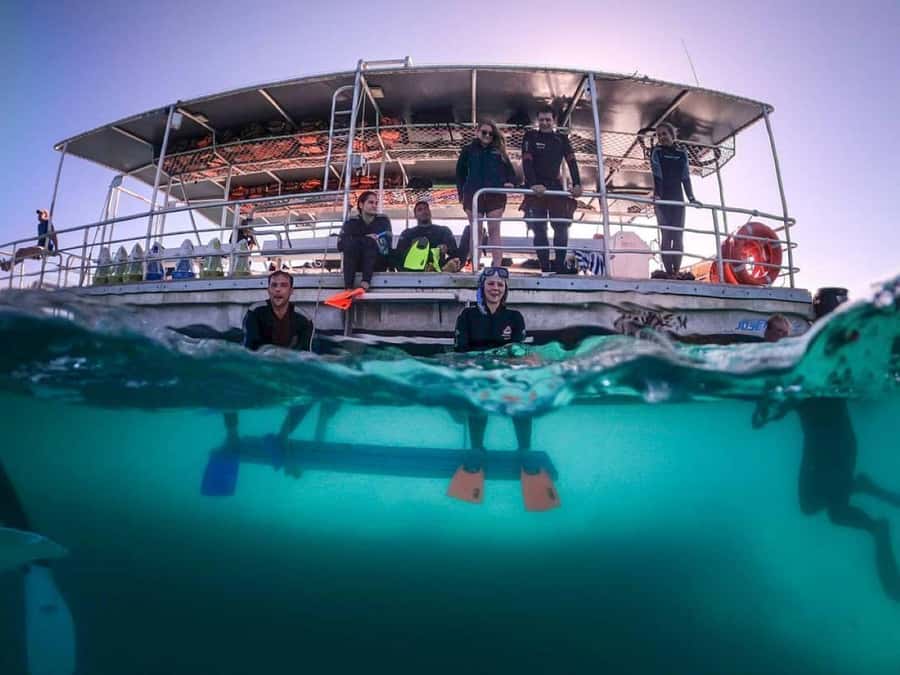 Moreton Island: Tangalooma Day Trip with Snorkeling Tour - Resort access gives you a useful home base
