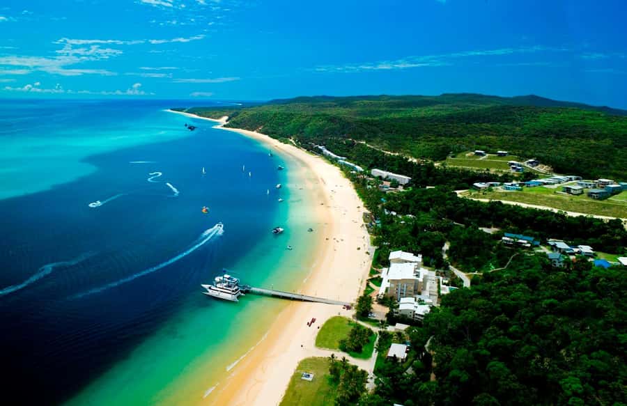 Moreton Island: Tangalooma Snorkeling Tour & Dolphin Feeding - Snorkelling the 15 Tangalooma Wrecks