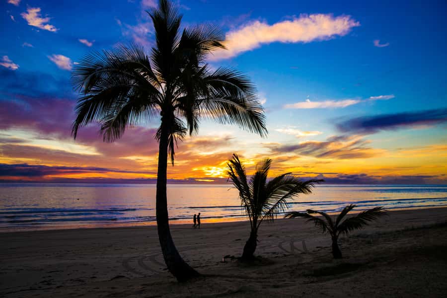 Moreton Island: Tangalooma Snorkeling Tour & Dolphin Feeding - What the $172 price really buys