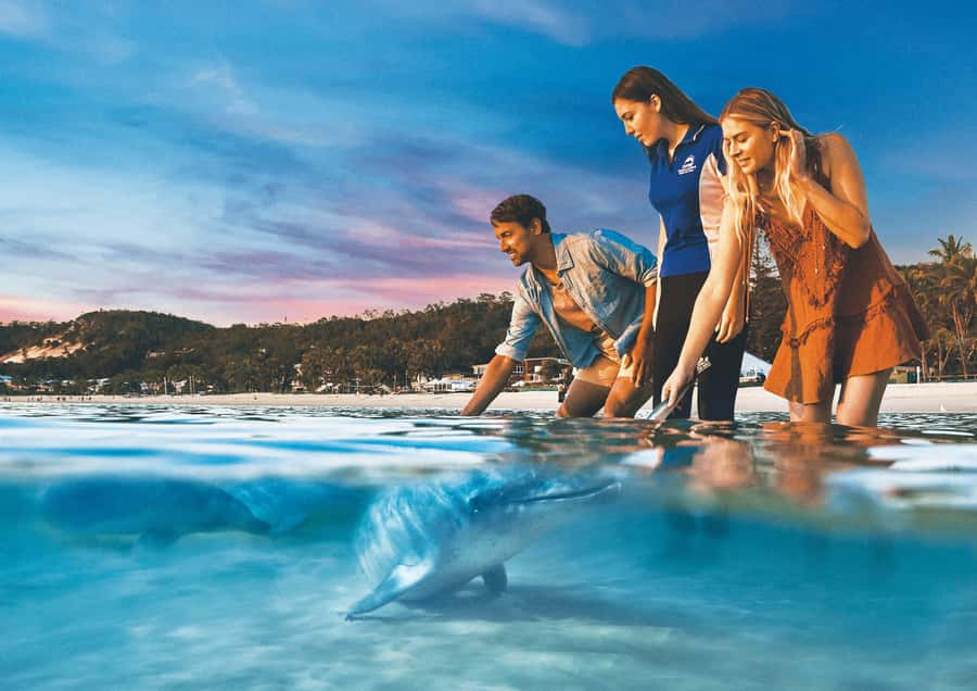 Moreton Island: Tangalooma Snorkeling Tour & Dolphin Feeding - A resort day, not just a boat trip