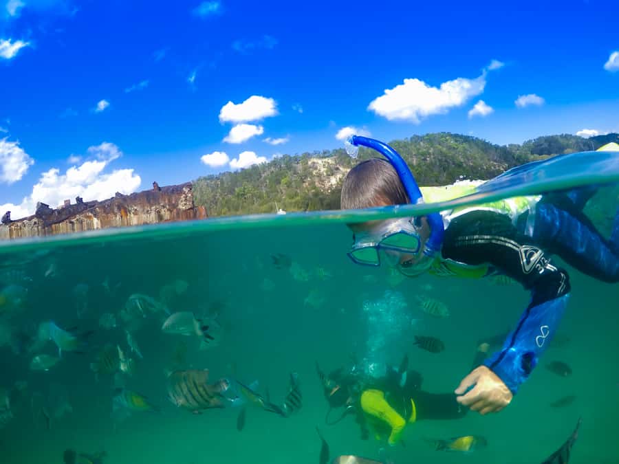 Moreton Island: Tangalooma Snorkelling with Dolphin Viewing - Tangalooma Island Resort gives you room to choose your day