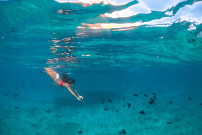 Morning Half Day Cruise from Providenciales with Snorkeling and Iguana Island - A four-hour view of Providenciales from the water