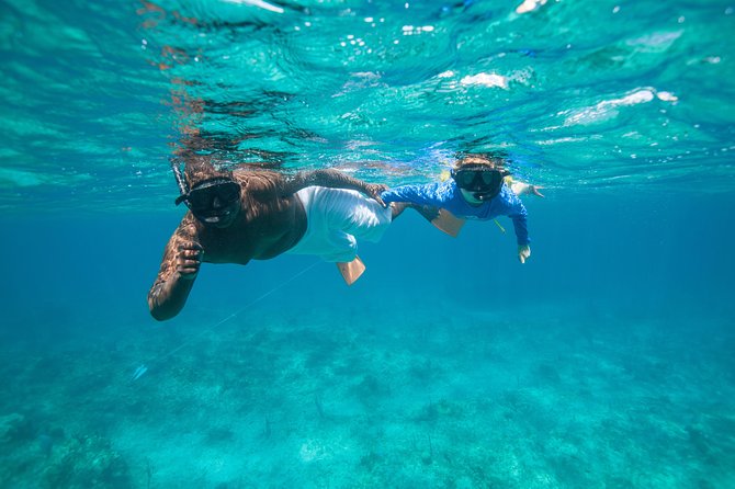Morning Half Day Cruise from Providenciales with Snorkeling and Iguana Island - Who will enjoy this cruise most
