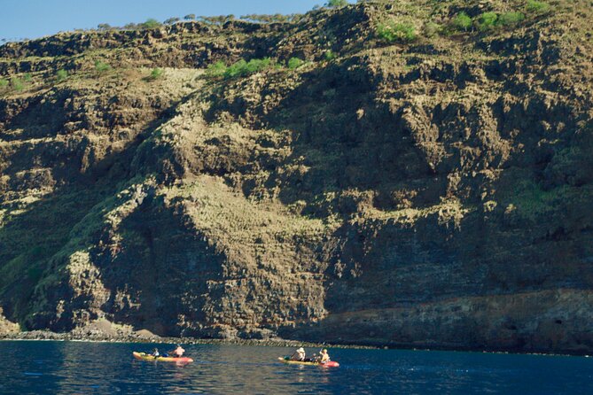 Morning Magic Kayak and Snorkel Adventure in Kealakekua Bay - Snorkeling in one of the Big Island’s best-known bays