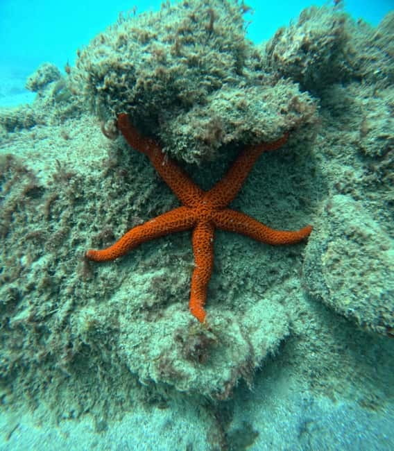 Morro Jable: Snorkeling Adventure - The 30-minute briefing and equipment fitting