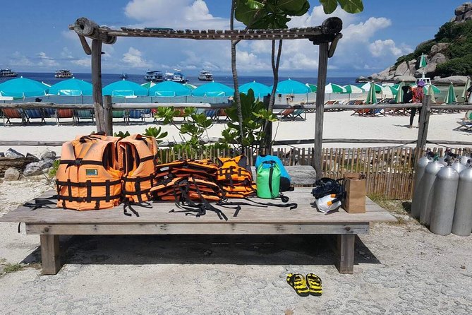 Mr. Tu Snorkel Day Trip to Koh Nangyuan & Koh Tao by Speed Boat from Koh Samui - Who should book this Koh Tao day trip?