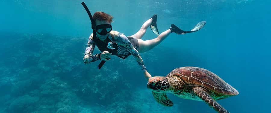 Muscat: 4-Hour Snorkeling Tour with Dolphin watching - Who will enjoy this outing most?