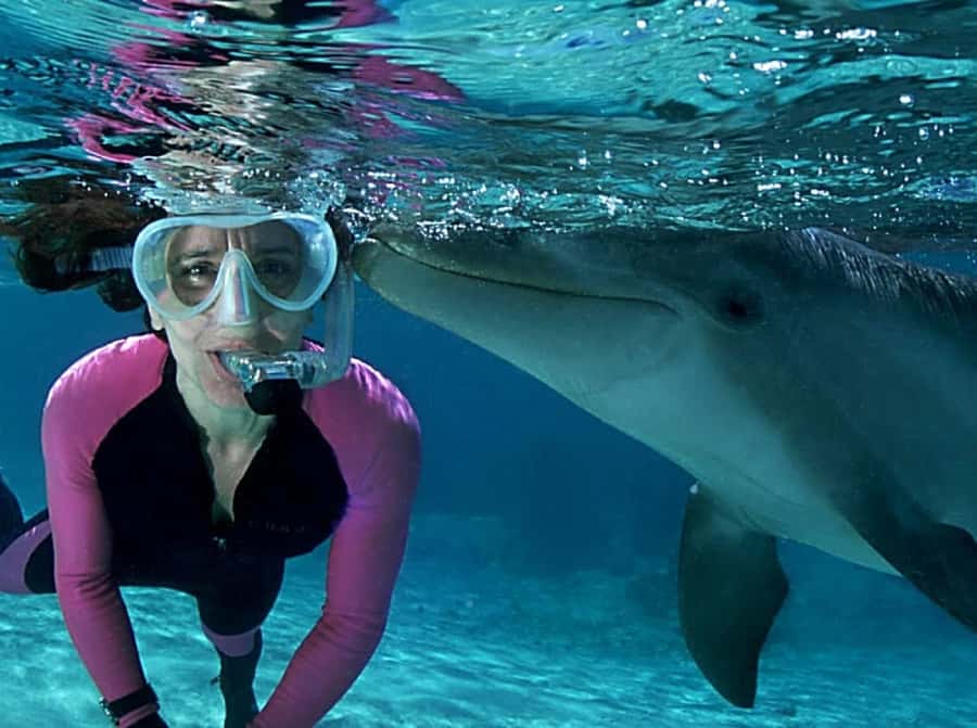 Muscat: 4-Hour Snorkeling Tour with Dolphin watching - Timing, weather, and a smart packing list