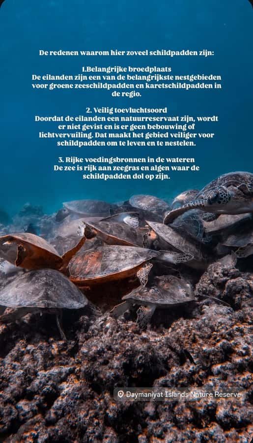Muscat: Daymaniat Islands Snorkeling Tour with Refreshments - First stop: turtles, coral, and shallow water