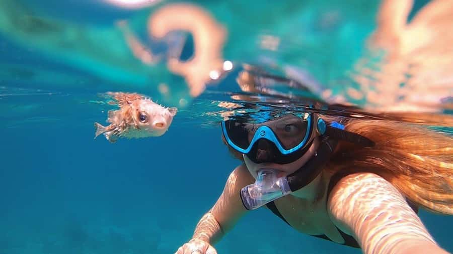 Muscat: Daymaniyat Island Snorkeling with Turtles Tour - Key points to know before booking