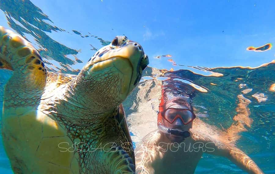 Muscat: Daymaniyat Island Snorkeling with Turtles Tour - The first hour: van, boat, and Muscat’s coast