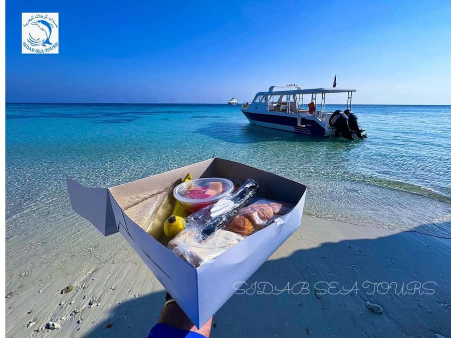 Muscat: Daymaniyat Island Snorkeling with Turtles Tour - What the $125 price covers