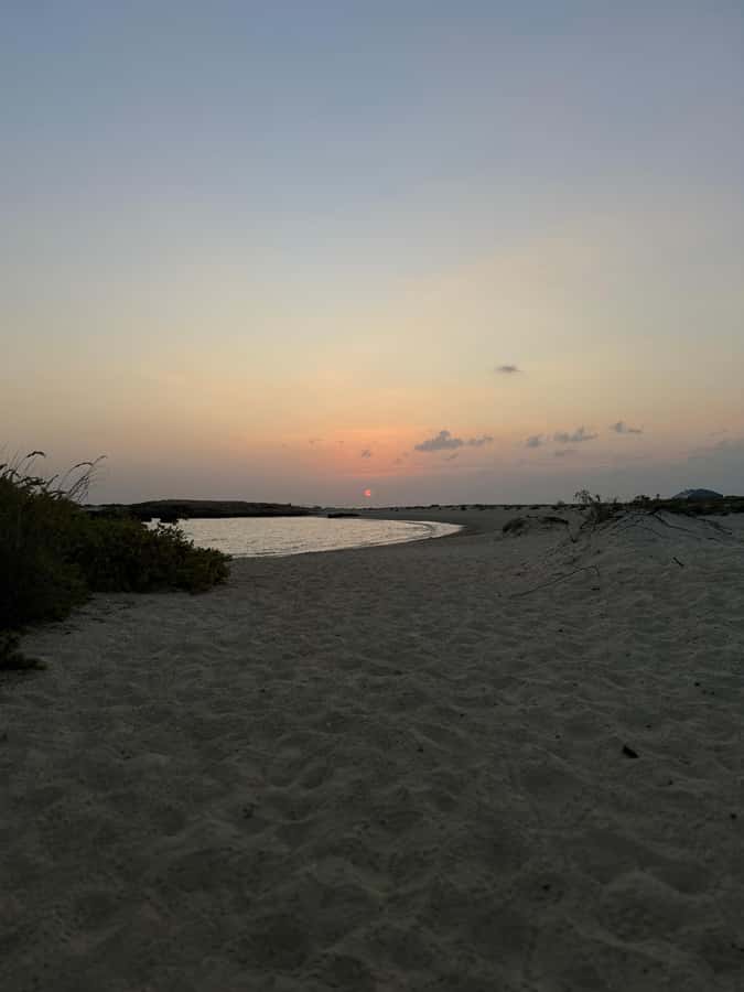 Muscat: Daymaniyat Islands Snorkeling Tour - Turtles, coral, and what you may see