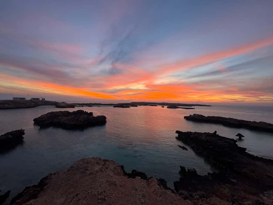 Muscat: Daymaniyat Islands Snorkeling Tour - Is $59 a fair price?