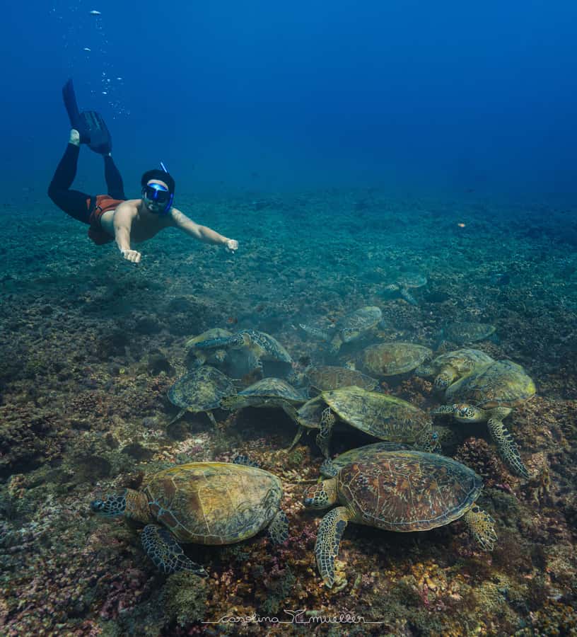 Muscat: Daymaniyat Islands Snorkeling Trip with BBQ Lunch - First stop: turtles, coral, and clear water