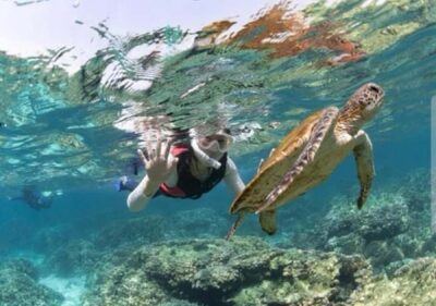 Muscat: Daymaniyat Islands Snorkeling Trip with BBQ Lunch